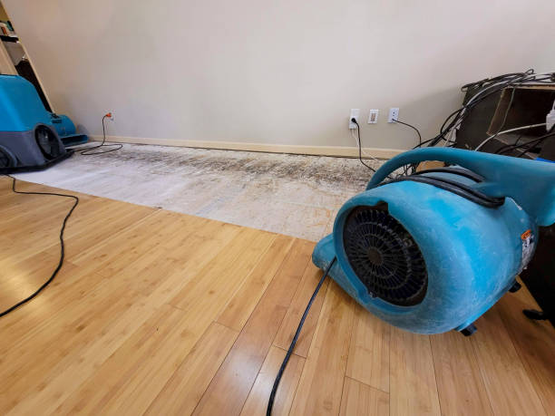 Professional Water Damage Repair technician working in Geddes, SD